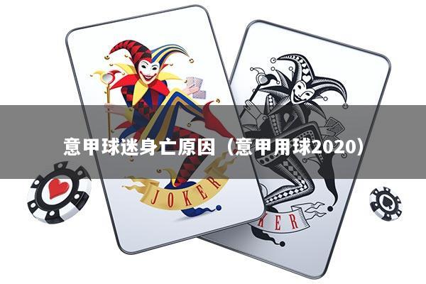 意甲球迷身亡原因（意甲用球2020）