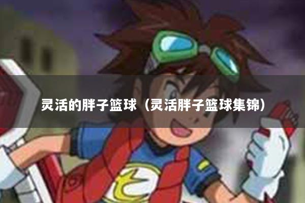灵活的胖子篮球（灵活胖子篮球集锦）