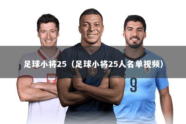 足球小将25（足球小将25人名单视频）