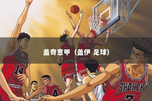 盖奇意甲（盖伊 足球）