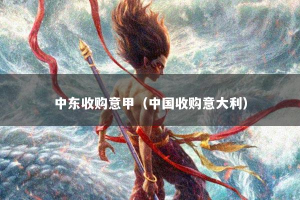 中东收购意甲（中国收购意大利）