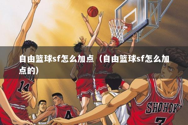 自由篮球sf怎么加点（自由篮球sf怎么加点的）
