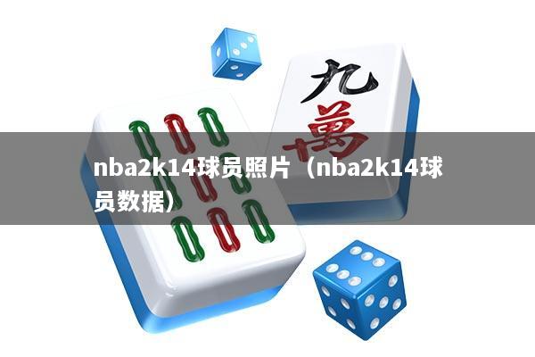 nba2k14球员照片（nba2k14球员数据）