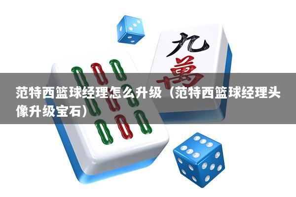 范特西篮球经理怎么升级（范特西篮球经理头像升级宝石）