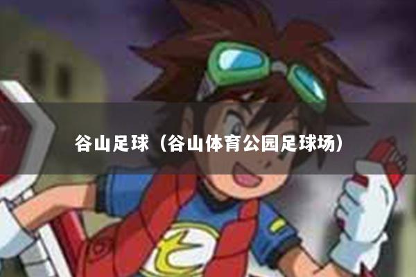 谷山足球（谷山体育公园足球场）